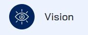 vision