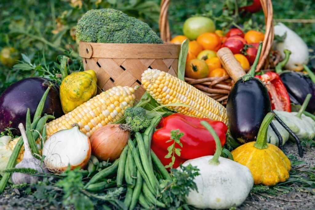 whatsapp image 2026 02 21 at 8.53.20 pm